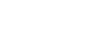 Southeast School Counselor and Administrator Leadership Institute logo